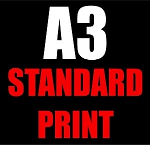A3 STANDARD PRINT - BUY A STANDARD OYSTER PEARL PRINT