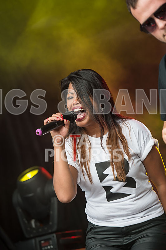 BLAKALASKA-91 - BLAKALASKA