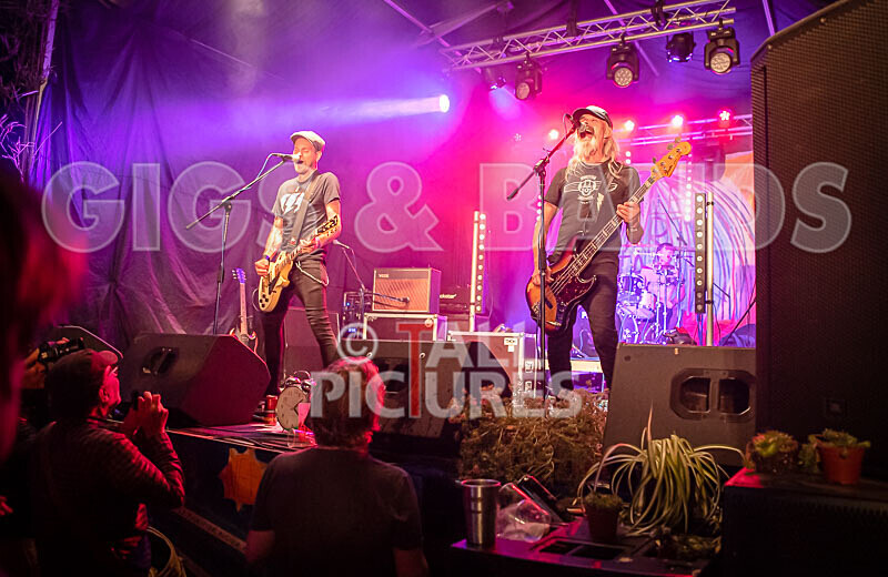 The Electric Shakes-203 - THE ELECTRIC SHAKES