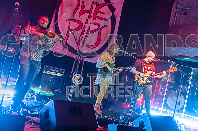 Kiya Ashton  the Folkadelics-17 - KIYA ASHTON & THE FOLKADELICS