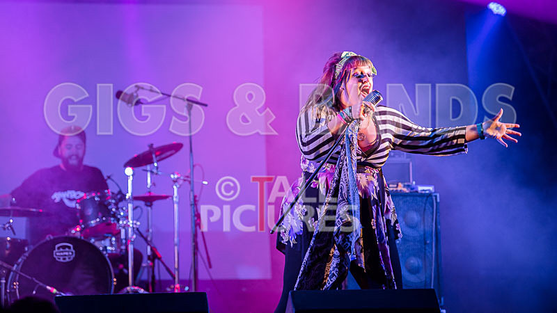 Static Alice-572 - STATIC ALICE