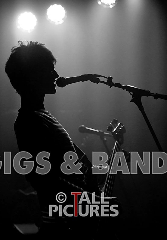 China Aster-55 - CHINA ASTER at RoA-9