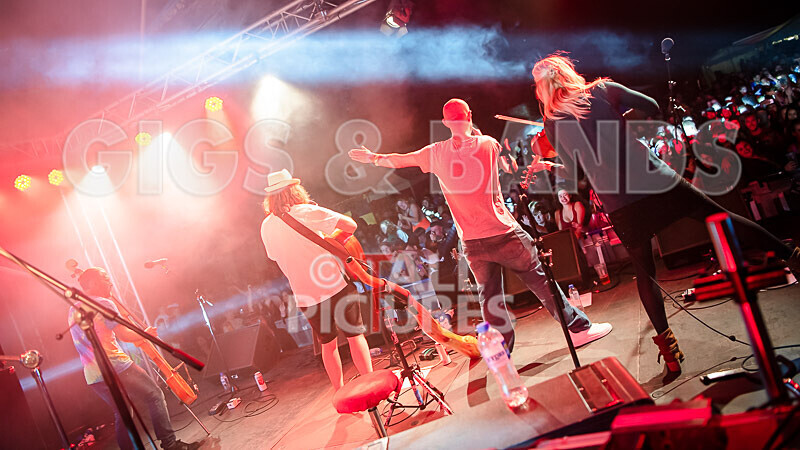 Buffalo Huddleston-685 - BUFFALO HUDDLESTON