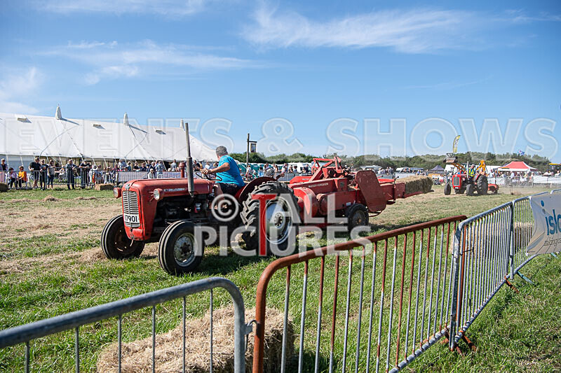 Guernsey Agricultural Show 2021-222 - GUERNSEY AGRICULTURAL SHOW 2021