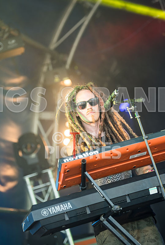 Tree House Fire-9 - TREE HOUSE FIRE