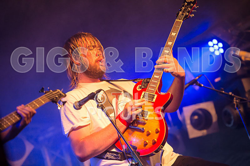 To the Woods-272 - TO THE WOODS