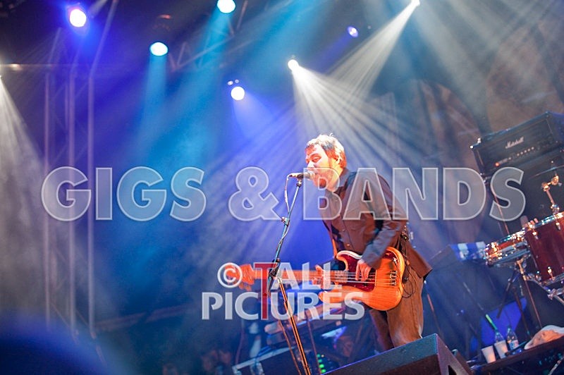 The Doves-11 - THE DOVES