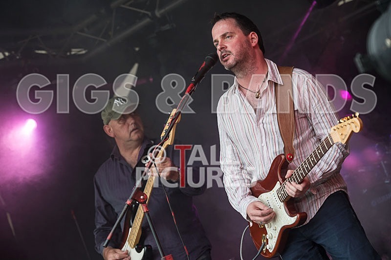 Wild Card-133 - WILD CARD