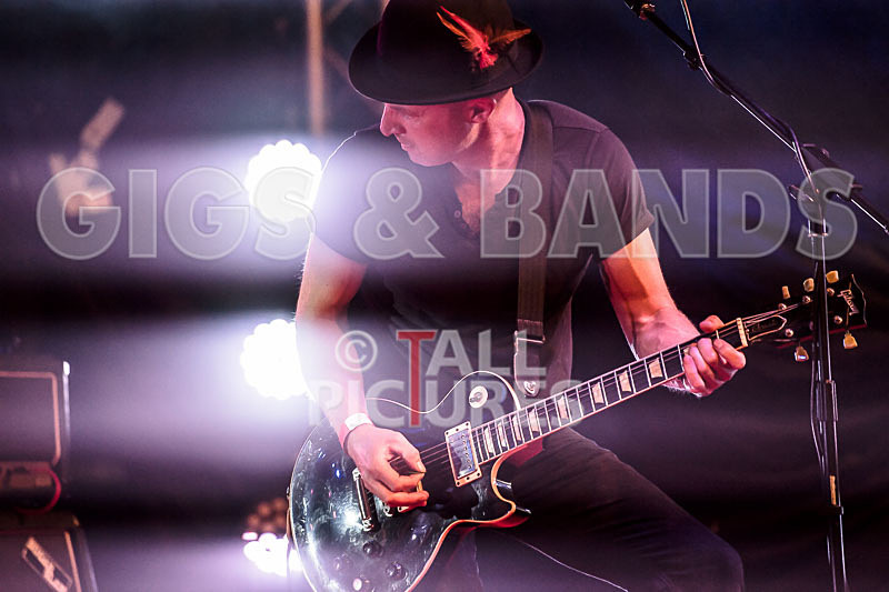 Peppered Ant Legs-217 - PEPPERED ANT LEGS