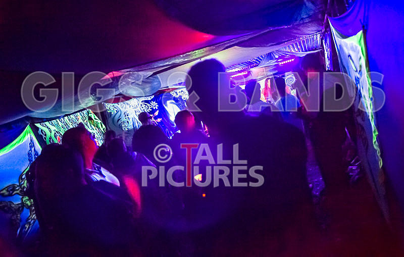 Vale Earth Fair 2018_SCENE-65 - VALE EARTH FAIR 2018_THE SCENE