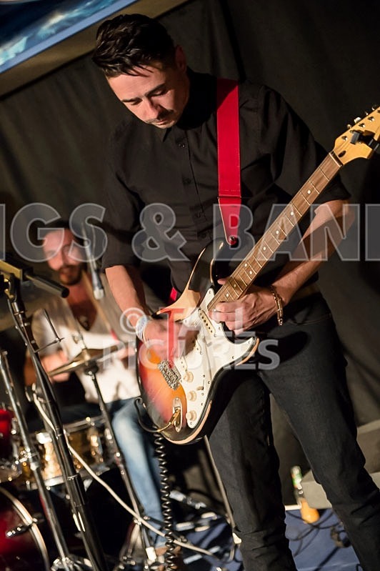 Harlequin Knights-60 - HARLEQUIN KNIGHTS