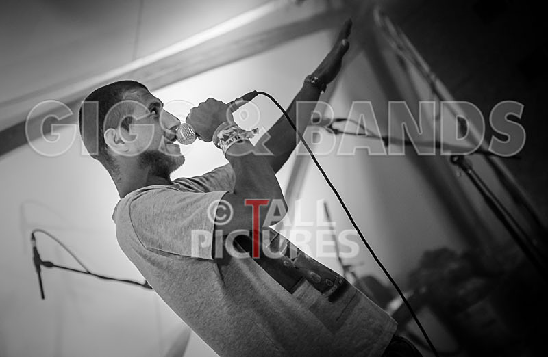 Buffalo Huddleston-252 - BUFFALO HUDDLESTON