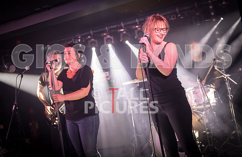 Ray and the Guns-81 - RAY AND THE GUNS