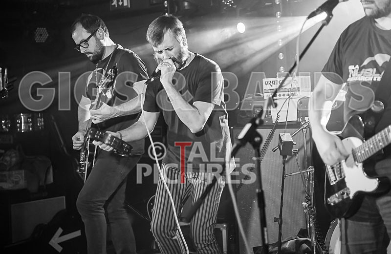 Thee Jenerators-369 - THEE JENERATORS