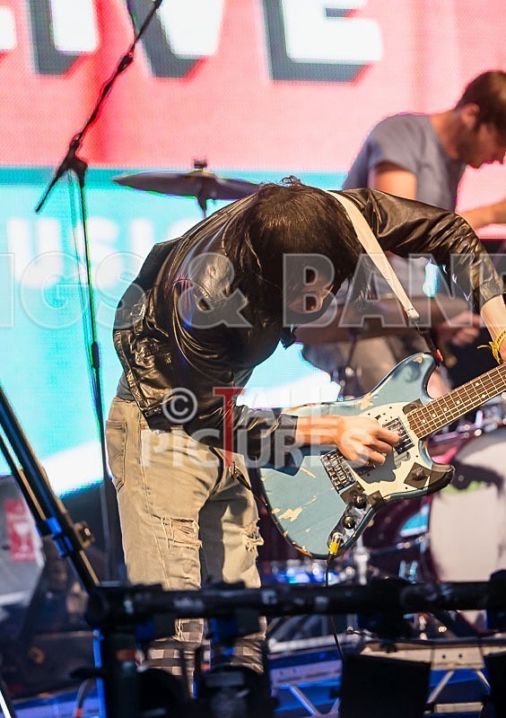 The Cribs-33 - THE CRIBS