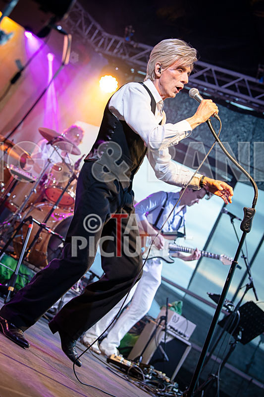 The Bowie Experience-32 - THE BOWIE EXPERIENCE