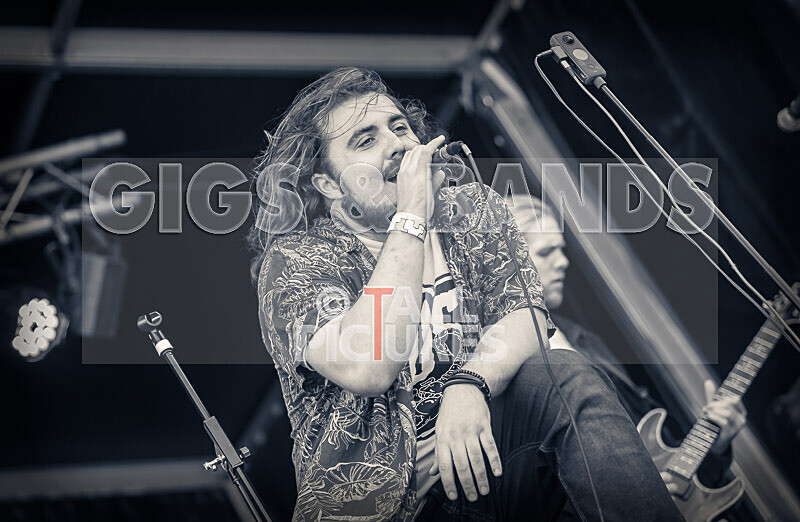 The Dust-17 - THE DUST