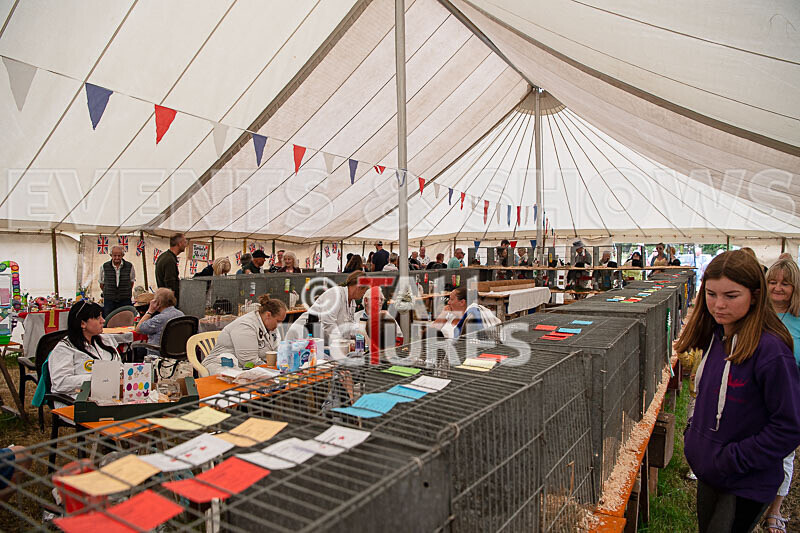 Guernsey Agricultural Show 2021-148 - GUERNSEY AGRICULTURAL SHOW 2021