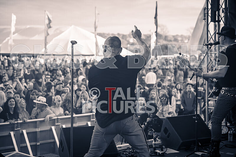 The Rubix-119 - THE RUBIX