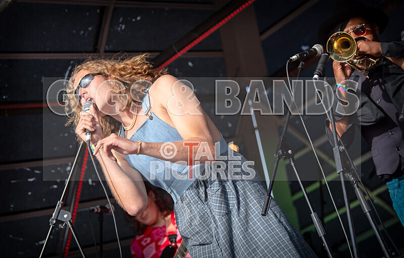 The Pips-145 - THE PIPS