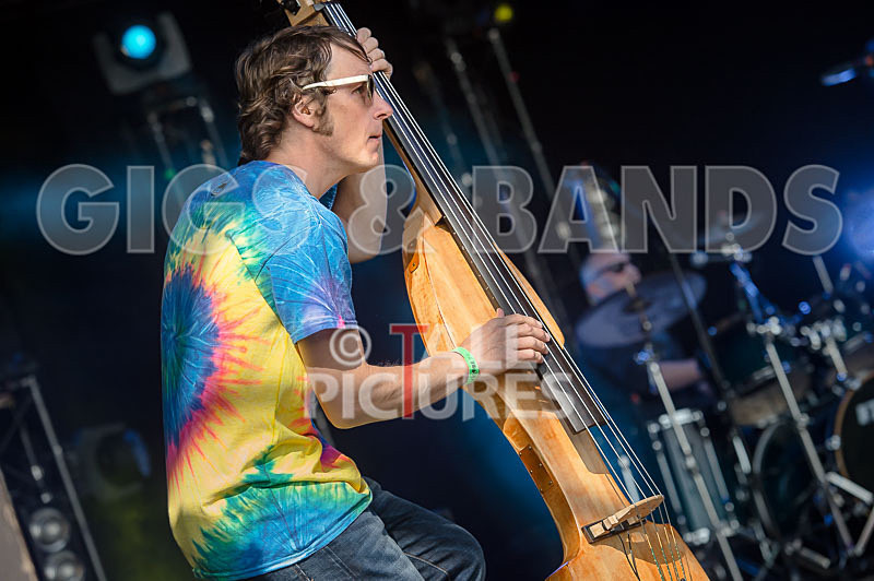 Buffalo Huddleston-412 - BUFFALO HUDDLESTON