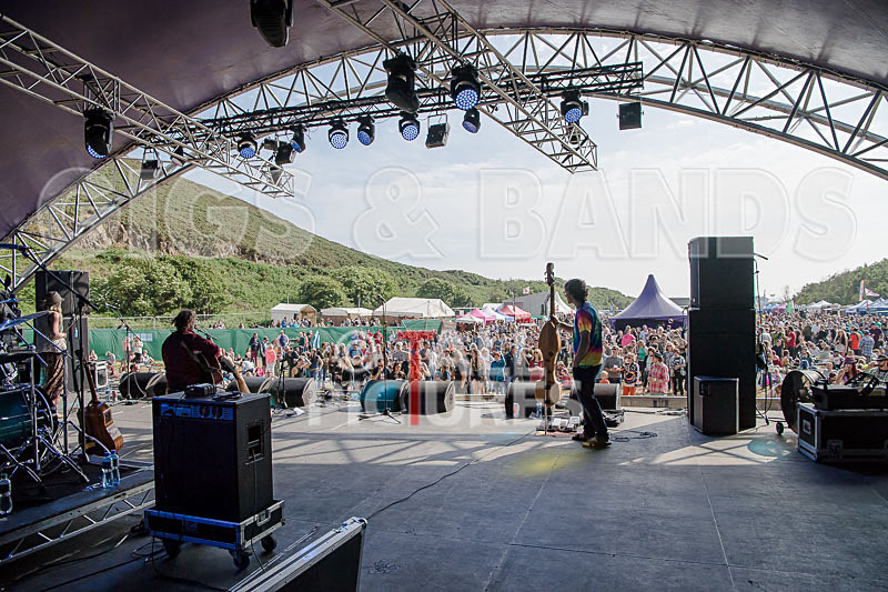 Buffalo Huddleston-375 - BUFFALO HUDDLESTON