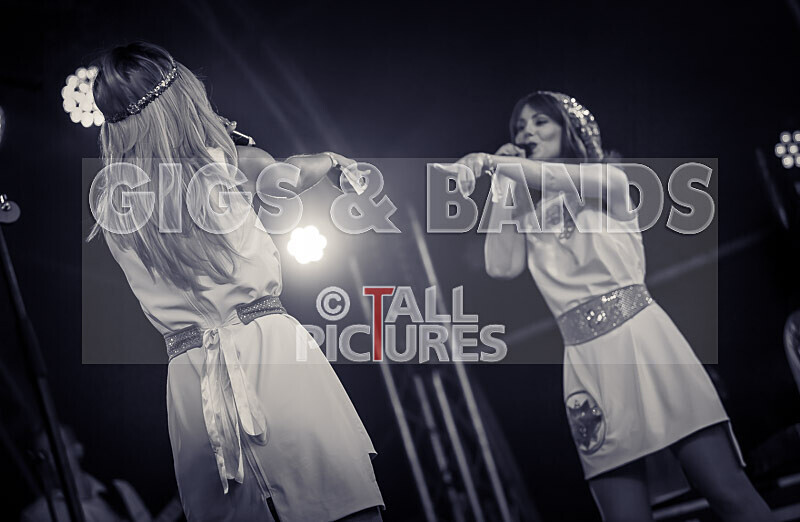 Abba Mania-7 - ABBA MANIA