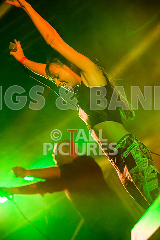 FireFarm-14 - FIREFARM