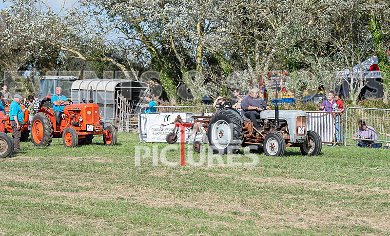 Guernsey Agricultural Show 2021-230 - GUERNSEY AGRICULTURAL SHOW 2021