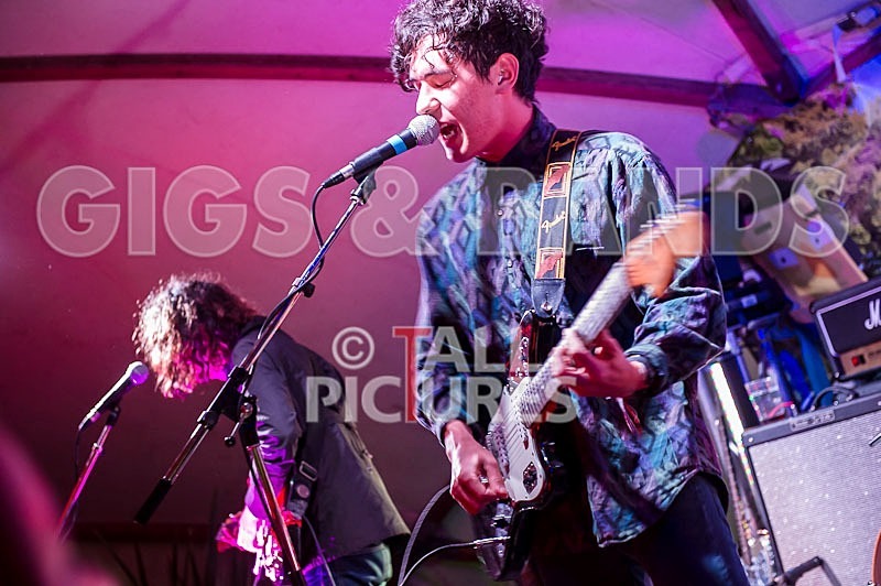 Last Dinosaurs-27 - LAST DINOSAURS