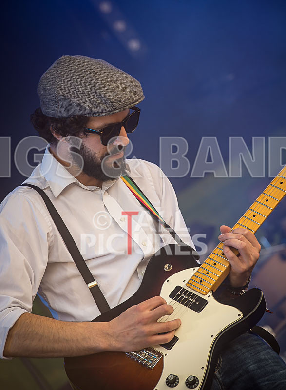 Static Alice-339 - STATIC ALICE