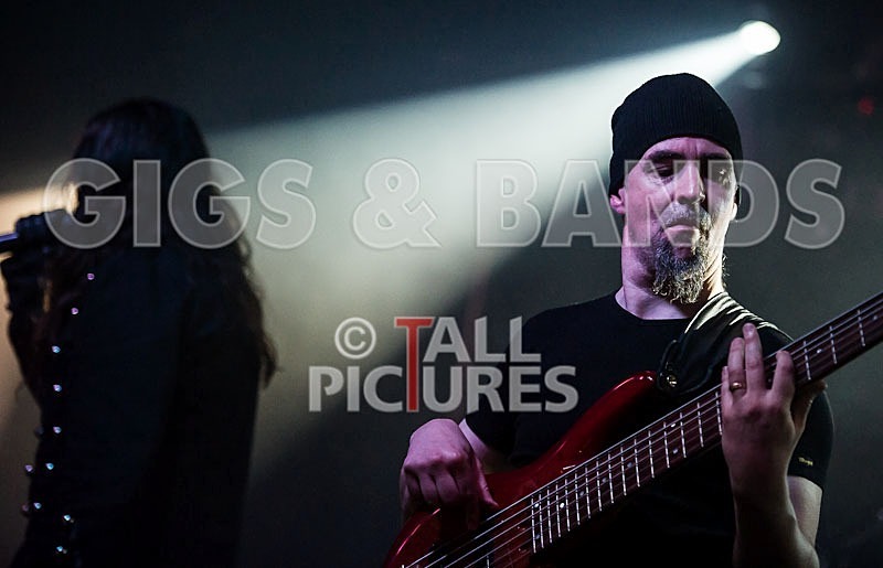 Gallus Cooper-24 - GALLUS COOPER