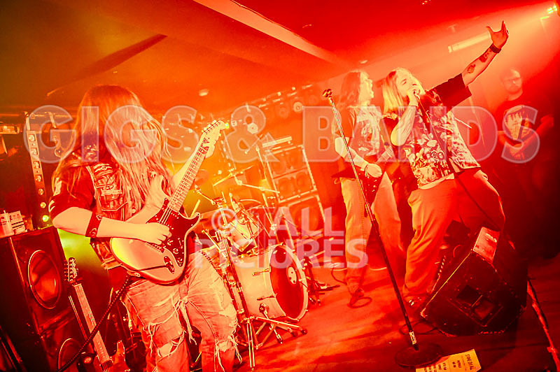 Stone Em All-274 - STONE EM ALL