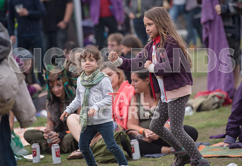 Vale Earth Fair 2015_Atmosphere-39 - VALE EARTH FAIR 2015_THE ATMOSPHERE