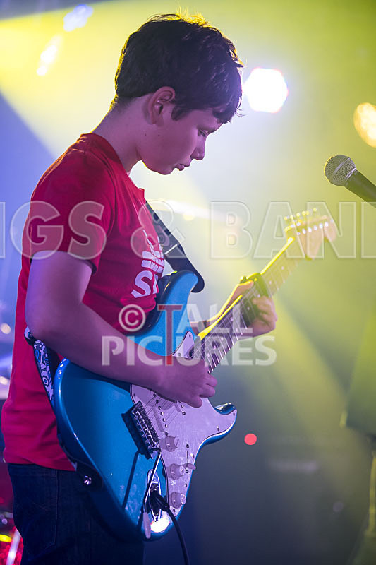 Purple Paradox-2 - PURPLE PARADOX