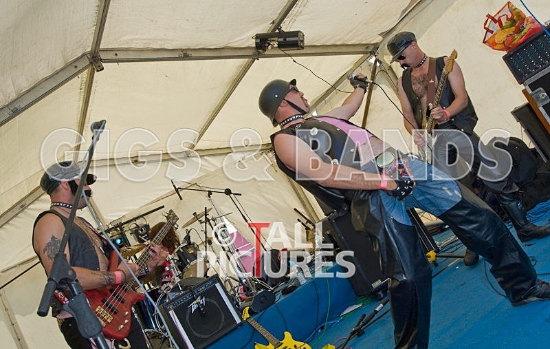 PAL-3 - GREENMAN CHAOS FESTIVAL 2007 BANDS