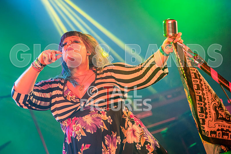 Static Alice-553 - STATIC ALICE