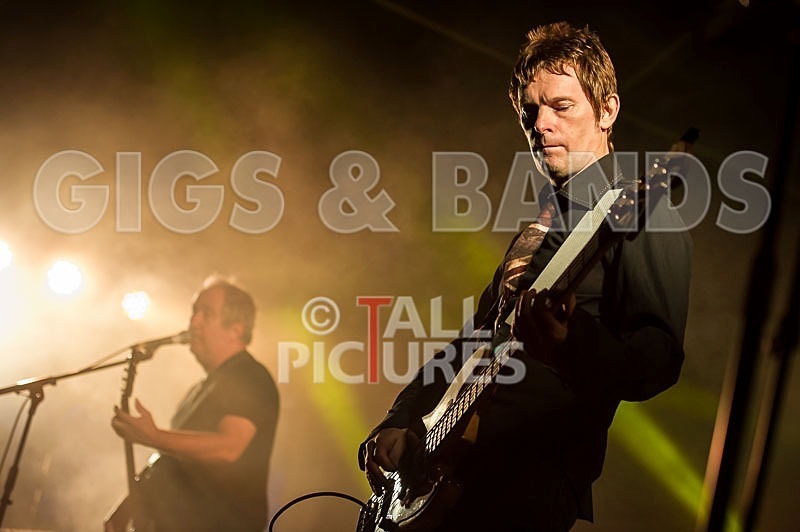 The Buzzcocks-40 - BUZZCOCKS