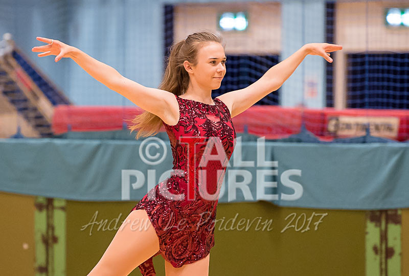 Phoenix Flames-9 - PHEONIX FLAMES