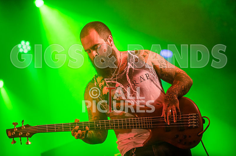 Static Alice-559 - STATIC ALICE