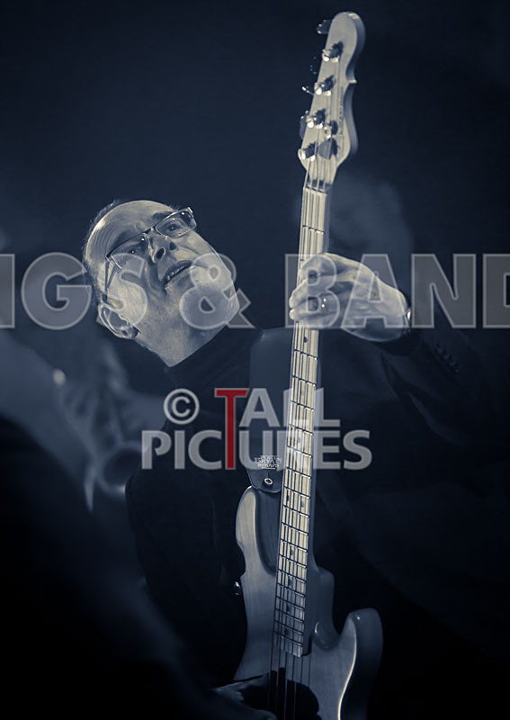 King Rat and the Soul Cats-224 - KING RAT AND THE SOUL CATS