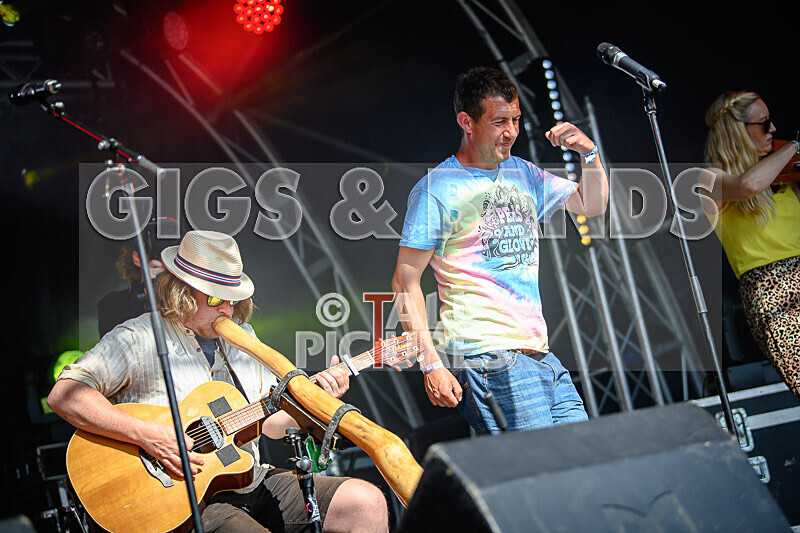 Buffalo Hudleston-738 - BUFFALO HUDLESTON