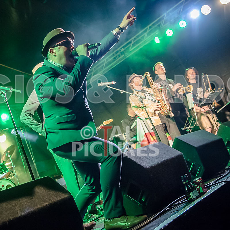 Sons of the Desert-236 - SONS OF THE DESERT