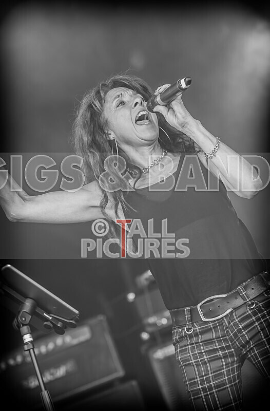 Underdog-152 - UNDERDOG