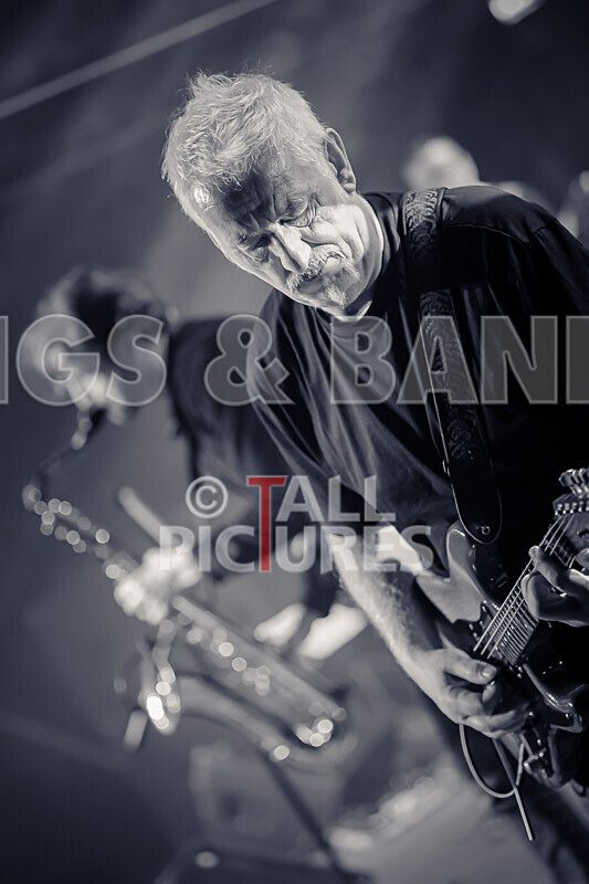 Elysium as Pink Floyd-307 - ELYSIUM as PINK FLOYD