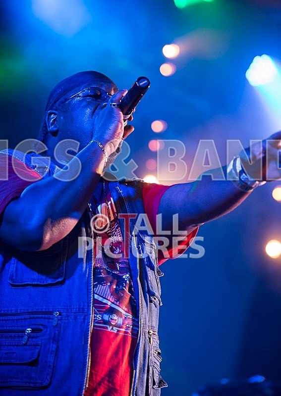 Roots Manuva-39 - ROOTS MANUVA