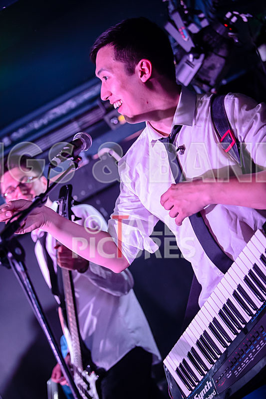 The Erawigs-34 - THE ERAWIGS