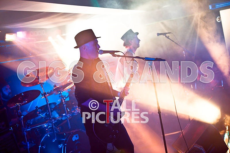 Peppered Ant Legs-101 - PEPPERED ANT LEGS