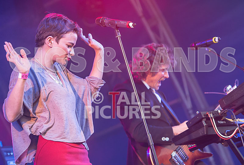 Vienna Ditto-26 - VIENNA DITTO