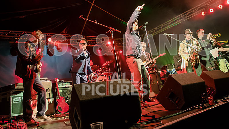 Sons of the Desert-240 - SONS OF THE DESERT